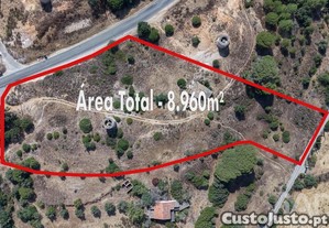 Terreno misto em Ferreiras