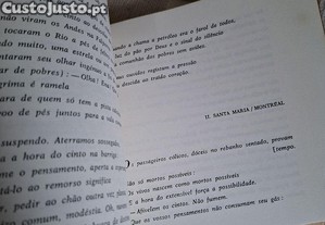 imagem_7