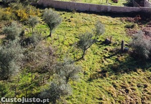 Terreno Rstico
