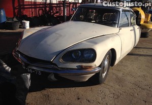 Citron DS Boca de Sapo ID 20