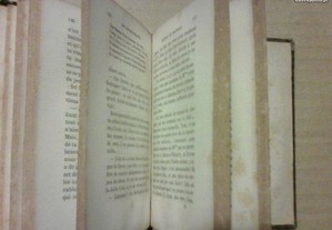 imagem_6