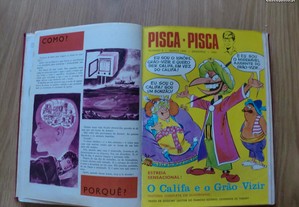 imagem_5