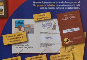 imagem_8