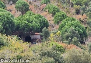 Terreno Agrícola em Azueira e Sobral da Abelheira