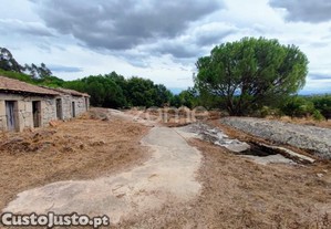 Terreno Rústico Em Cabanas Do Viriato Com 7.480 M2