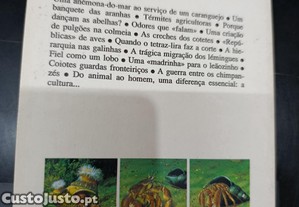 imagem_8