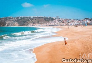 imagem_17