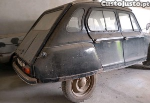 Citron Dyane Nazar - 81