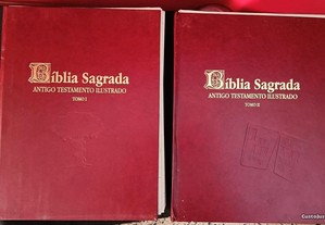 Biblia sagrada em 2 tomos ilustrada