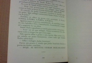 imagem_8