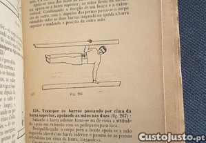 imagem_8