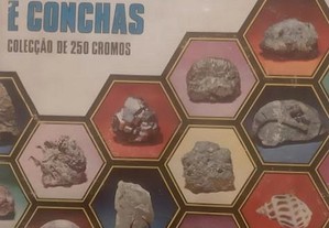 Caderneta Mineralogia, minerais, fosseis e conchas completa e cromos avulsos