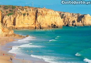 imagem_19