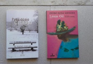 Obras de Possidónio Cachapa e Pedro Rosa Mendes