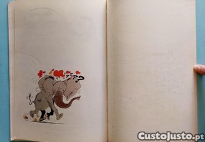 imagem_7