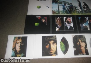 imagem_5