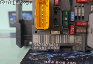 imagem_2