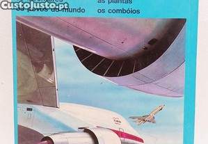 imagem_4