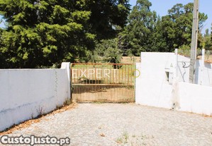 imagem_21