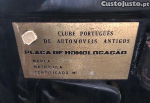imagem_13
