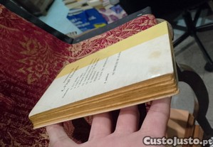 imagem_4
