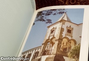 imagem_7