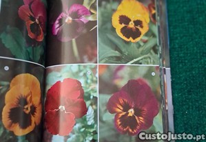 imagem_6
