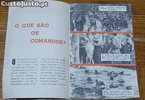imagem_5