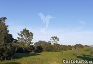 imagem_12