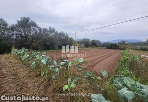 Terreno Construo - Subportela - Bom negcio !!