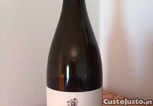 Parece nica 2015 Anselmo Mendes