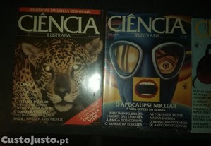 imagem_3