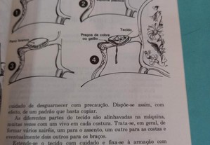 imagem_4