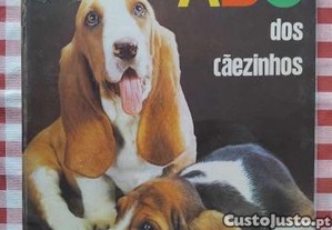 imagem_1