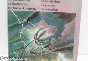 imagem_4