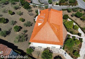 imagem_12