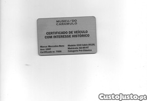 imagem_10