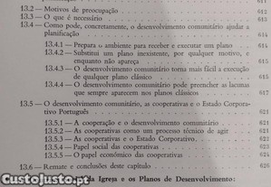 imagem_13
