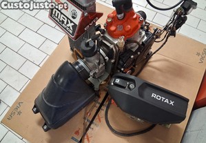 Motor rotax evo2 kart