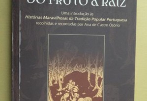 "Do Fruto à Raiz" de Fátima Ribeiro de Medeiros
