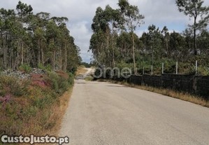Terreno Rústico Com 8.597 M2 Em Paradela Barcelos