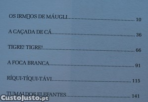 imagem_6