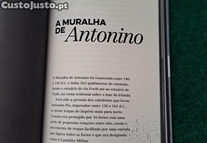 imagem_7