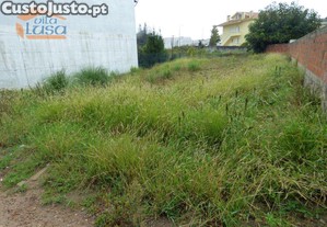 imagem_10