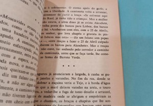 imagem_6