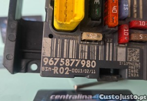 imagem_2