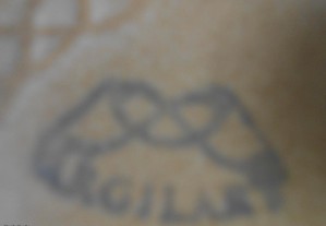 imagem_6