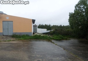 imagem_5