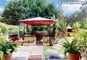 imagem_22