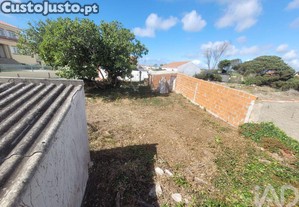imagem_20